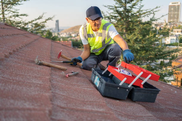 Affordable Siding Repair and Maintenance Services in Calexico, CA